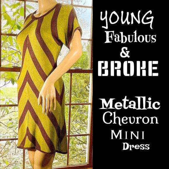 Young Fabulous & Broke Dresses & Skirts - ▪️YOUNG FAB & BROKE▪️ Metallic Chevron Mini Dress